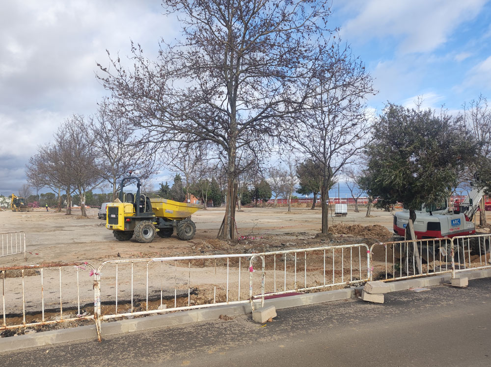 La gestión del arbolado en Getafe está abandonada por el Gobierno Municipal
